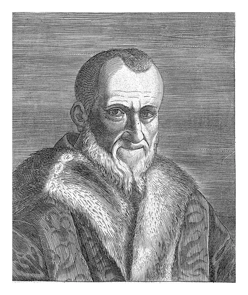 Portrait Pietro Vettori Philips Galle Cornelis Cort 1587 1606 Portrait — Stock Photo, Image