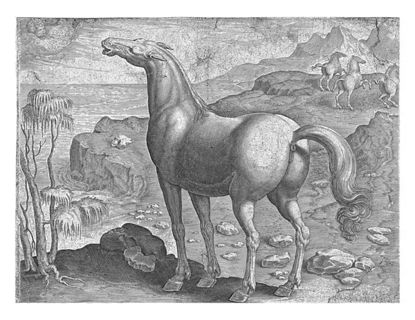 Zephyros Impregna Una Cavalla Hieronymus Wierix Attribuito Dopo Jan Van — Foto Stock