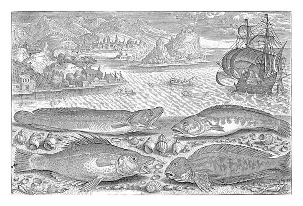 ビーチに4匹の魚 アドリアン コラート 1627 1636 Gaffコード グルーパー 角が付いたブレンニーと黒い魚が海岸で洗い流されています — ストック写真