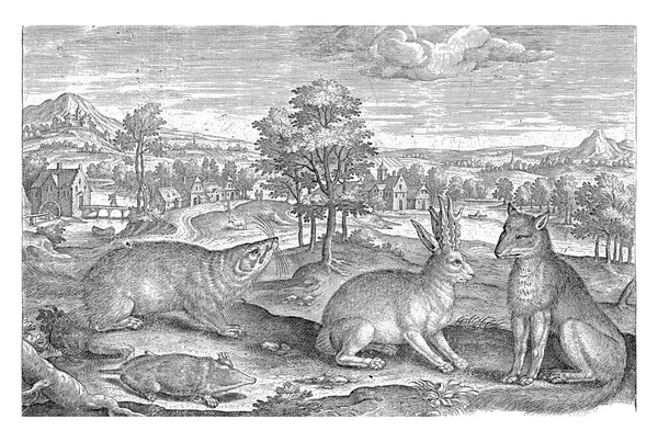 Animals Forest Adriaen Collaert 1595 1599 Foreground Fox Mole Badger — Stock Photo, Image