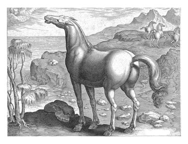 Zephyros bir kısrağı döller, Hieronymus Wierix (atasözü), Jan van der Straet 'ten sonra, 1583 - 1587 Zephyros, batı rüzgarı, bir kısrağı durdurur..