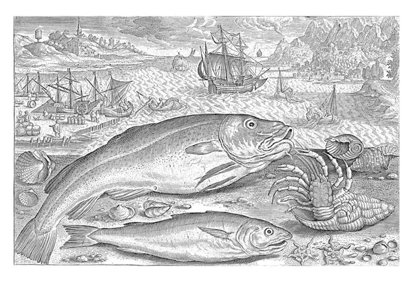 Two Fish Beach Adriaen Collaert 1627 1636 Cod Whiting Hermit — Stock Photo, Image