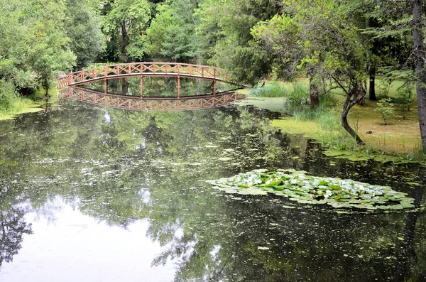 Парк Озером Деревянным Мостом — стоковое фото