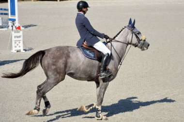 Atlama ve bedava biniş üzerine at yarışı