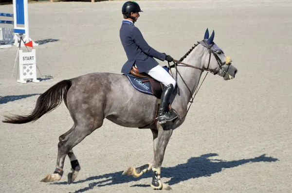 Atlama ve bedava biniş üzerine at yarışı