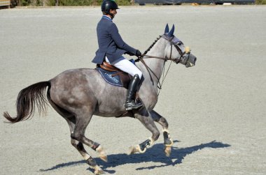 Engellerin üzerinden atlama yarışması