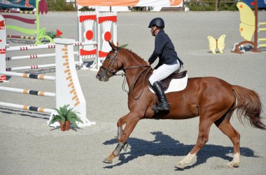 Engellerin üzerinden atlama yarışması