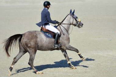 Engellerin üzerinden atlama yarışması