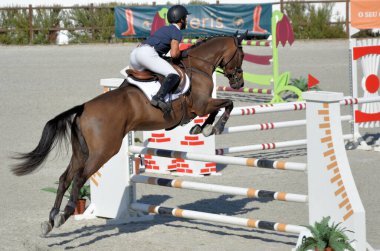 Engellerin üzerinden atlama yarışması