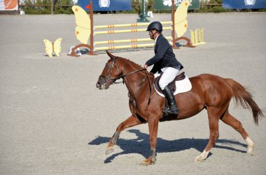 Engellerin üzerinden atlama yarışması