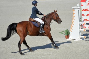 Engellerin üzerinden atlama yarışması