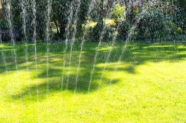 Bahçe sulama sistemi çimenliği. Otomatik çim püskürtücü yeşil çimenleri su damlalarıyla suluyor. Çim püskürtücü yeşil çimlerin üzerine su döker.
