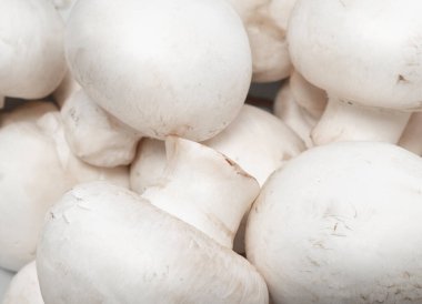 Whole champignon mushrooms texture background. mushrooms background. Fresh porcini champignon mushrooms close up. 