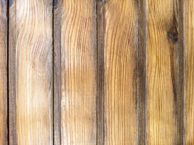 Old wood background texture. Wood surface
