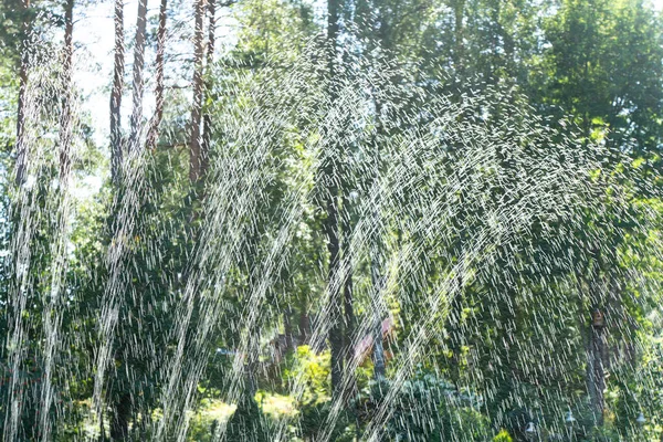 Jardin Système Irrigation Pelouse Arrosage Automatique Pelouse Arrosage Herbe Verte — Photo
