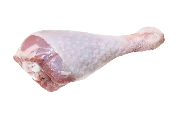 生の七面鳥のドラムスティック白の背景に隔離された トルコ脚部分離 — ストック写真