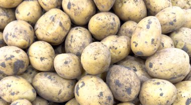 Patates arkaplanı. Ham patateslerin dokusunu grupla. Yığınla taze patates.