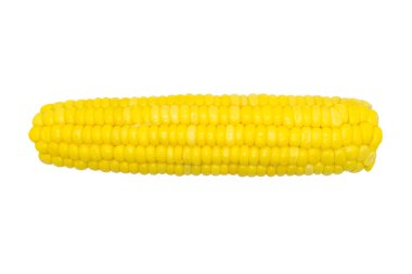 Beyaz arka planda izole edilmiş olgun tatlı mısır koçanı. Beyaz arka planda izole edilmiş tatlı haşlanmış mısır koçanı. Taze sarı mısır.