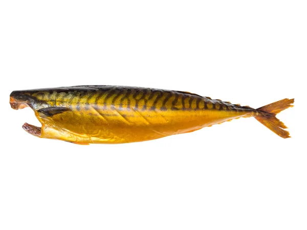 白を基調にしたホットスモークサバ魚 魚の燻製 燻製魚の背景色 — ストック写真