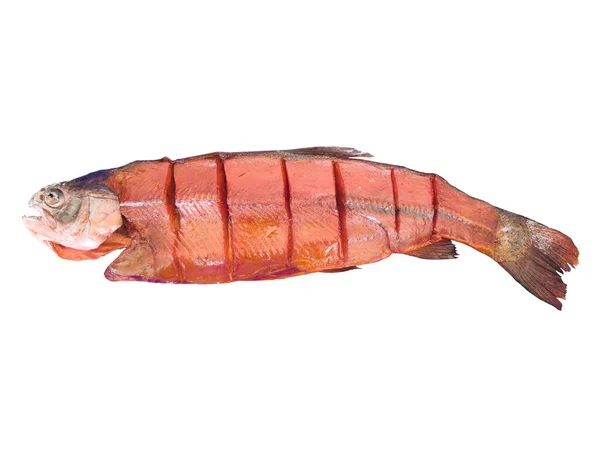 在白色背景上隔离的烟熏虹鳟鱼 — 图库照片