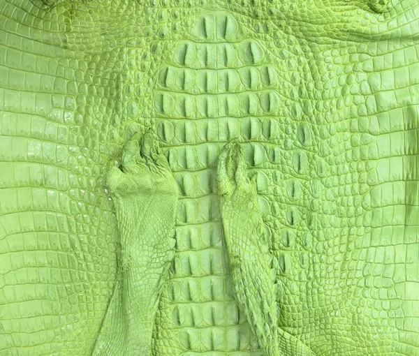 Genuine Colored Crocodile Leather Texture Background Crocodile Skin Texture Background — Stock Photo, Image