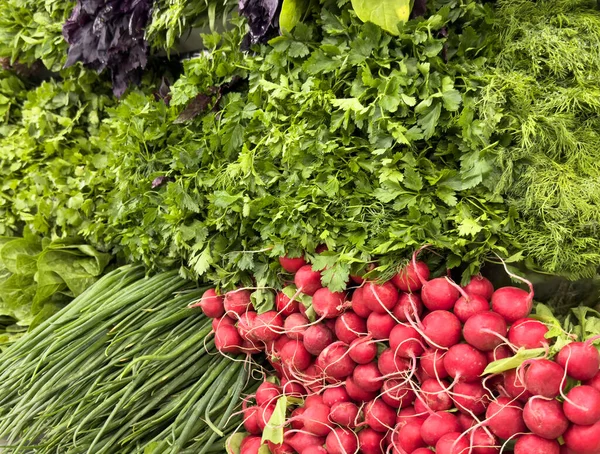 Légumes Sur Comptoir Marché Oignons Verts Radis Rouges Laitue Persil Images De Stock Libres De Droits
