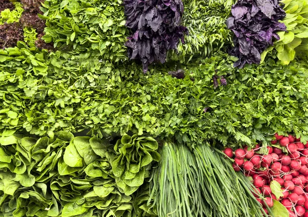 Légumes Sur Comptoir Marché Oignons Verts Radis Rouges Laitue Persil Images De Stock Libres De Droits