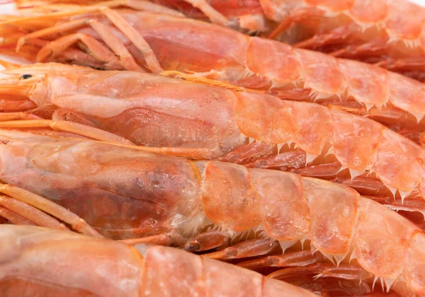 Red Giant Argentine Shrimp Texture Background Large Tiger Shrimp Pattern — Stock Photo, Image