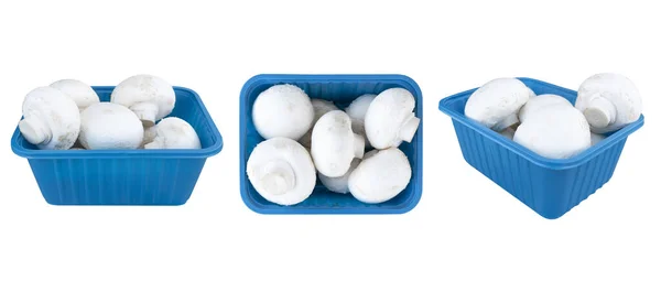 顶部全景香菇在蓝色塑料容器隔离的白色背景 蘑菇的背景 新鲜的香菇香菇关门 — 图库照片