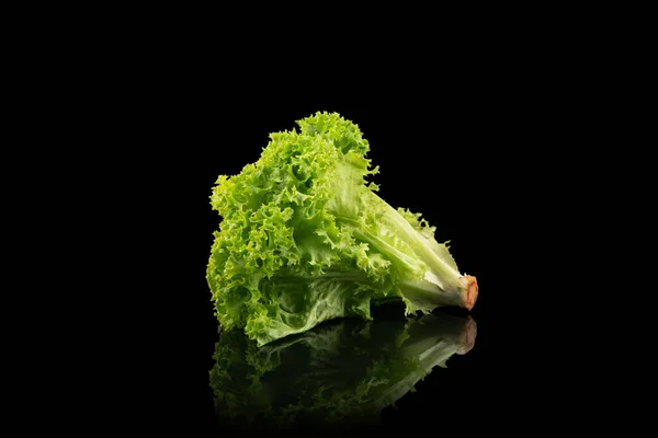 Folha Salada Isolada Fundo Preto Folhas Salada Alface Verde Fresca — Fotografia de Stock