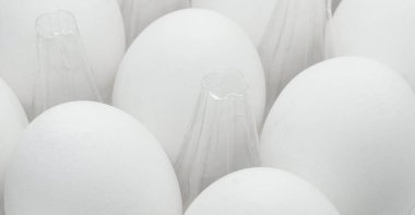 Beyaz arka planda taze beyaz yumurtalı yumurta tepsisi. Plastik kutuda taze organik tavuk yumurtası..