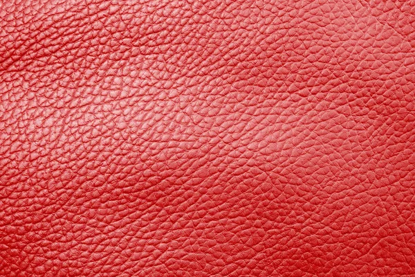 Macro shot red leather texture background.. Part of perforated leather details. Red perforated leather texture background. Texture, artificial leather