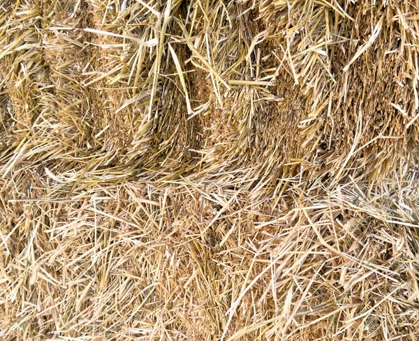 Hay Texture Hay Bales Stacked Large Stacks Harvesting Agriculture Royalty Free Stock Images
