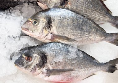 Marketteki tezgahın üstünde buz içinde taze çiğ dorado balığı. Balık pazarında buzda taze dorado balığı.