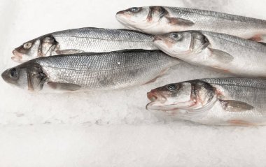 Marketteki tezgahın üstünde buz içinde taze çiğ deniz kabuğu balığı. Balık pazarında buzda taze deniz kabuğu balığı.