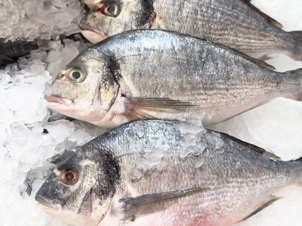 Marketteki tezgahın üstünde buz içinde taze çiğ dorado balığı. Balık pazarında buzda taze dorado balığı.