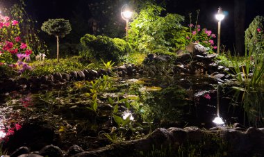 Geceleri bahçe göleti. Aydınlatılmış gölet kıyısı bir gecede. Balık havuzu. Doğal manzara üzerindeki bahçe göleti. Su bahçesi doğal havuzu. Özel bir bahçenin dışı.