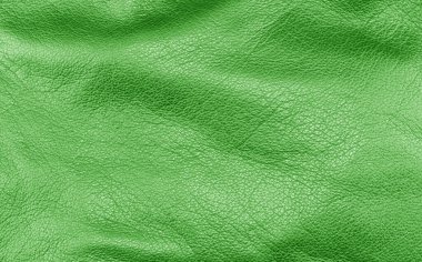 Makro deri dokular. Delikli yeşil deri detaylarının bir kısmı. Deri dokusu delinmiş. Doku derisi