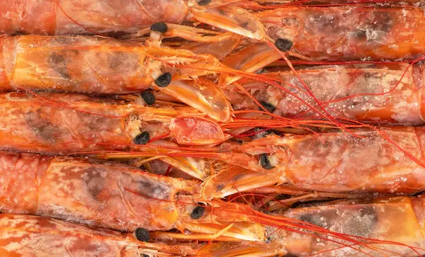 Raw frozen shrimp background. Pile of frozen shrimps. Close-up of frozen shrimps. A lot of royal shrimp macro shot. Red giant argentine shrimp texture background. Large tiger shrimp
