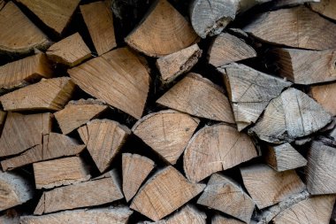 Ahşap orman, yakacak odun, ergitree arka planı.