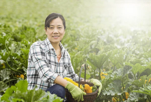 Mulheres Maduras Coletando Legumes Campo Fazenda Durante Luz Dia Brilhante — Fotografia de Stock