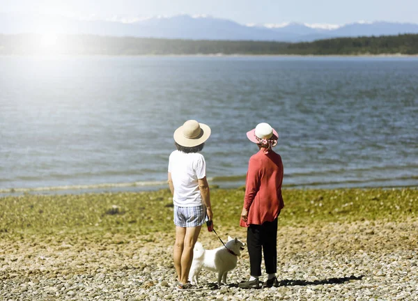 Mother Daughter Walking Dog Ocean Shore Bright Daylight — Stock Photo, Image