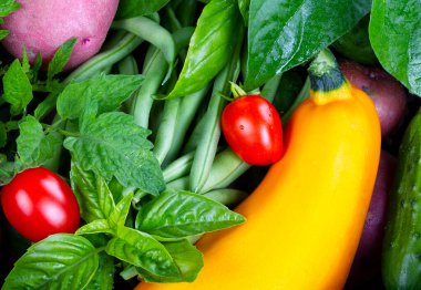 Çiğ taze sebzeler yeni toplandı. 