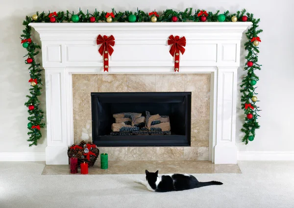 Interior Casa Vacaciones Navidad Con Decoraciones Temporada Alrededor Chimenea Gato — Foto de Stock