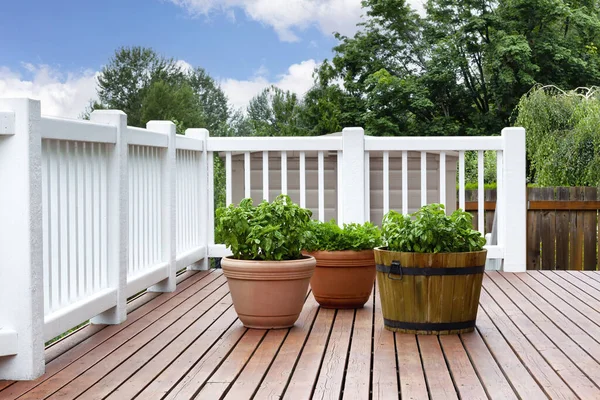 Pots Herbs Home Outdoor Cedar Wood Deck Summer Season — Stock Photo, Image