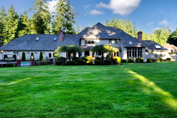 緑豊かな芝生と常緑樹と夏の間の家の緑の大きな裏庭 — ストック写真