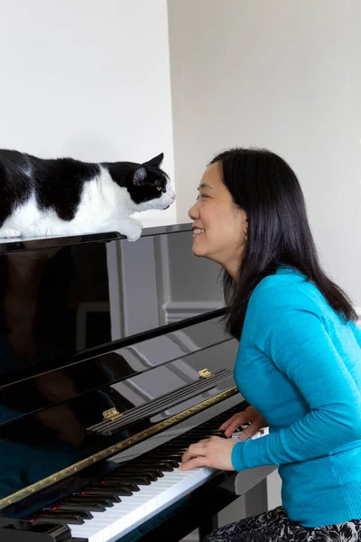 当她坐在钢琴前 女人和她的宠物猫的画像直勾勾地凝视着他们的眼睛 — 图库照片