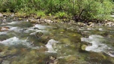 Wallace Nehri 'nin Washington' da bahar zamanı güzelce aktığını gösteren bir video.