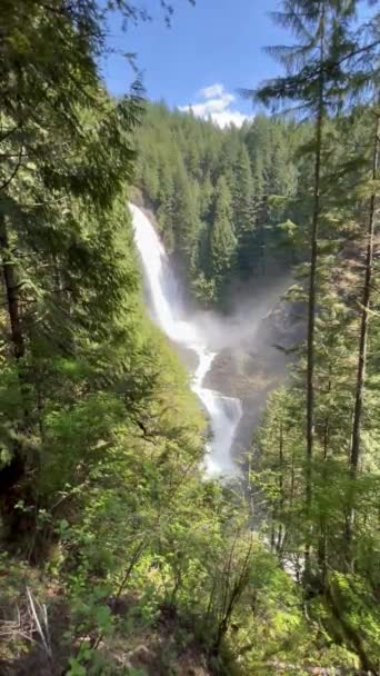Entferntes Video Der Oberen Wallace Wasserfälle Washington State Park Zur — Stockvideo