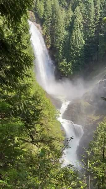 Video Las Caídas Agua Wallace Superior Parque Estatal Washington Durante — Vídeo de stock